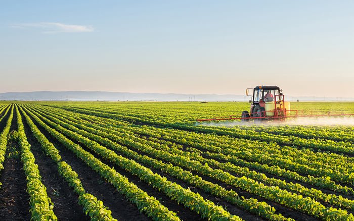 Agriculture ETFs Harvesting Big 2024 Gains